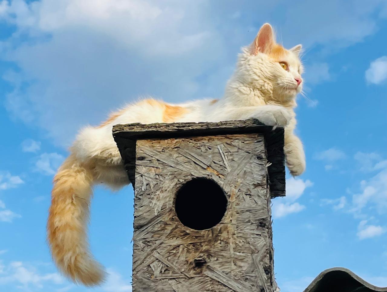 Тепло и ясно - погода на 21 апреля в западном Казахстане